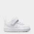 Кросівки Nike COURT BOROUGH LOW RECRAFT (TD) DV5458-106