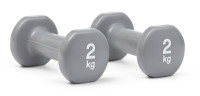 Гантелі Reebok Dumbbells сірий Уні 2 кг RAWT-16152