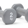 Гантелі Reebok Dumbbells сірий Уні 2 кг RAWT-16152