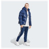 Пуховик Adidas Adicolor Down Regen Hooded Puffer IL2570