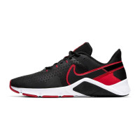 Кросівки Nike LEGEND ESSENTIAL 2 CQ9356-005
