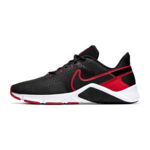 Кросівки Nike LEGEND ESSENTIAL 2 CQ9356-005