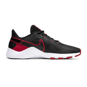 Кросівки Nike LEGEND ESSENTIAL 2 CQ9356-005