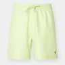 Шорти Carhartt WIP CHASE SWIM TRUNKS I026235.2A4XX
