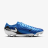 Бутси Nike LEGEND 10 ELITE FG DV4328-400