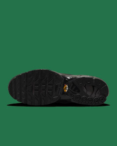 Кросівки чоловічі Nike Air Max Plus Paris Lifestyle Shoe Black HJ4519-200