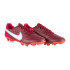 Бутси пластик Nike LEGEND 9 PRO FG DA1175-616