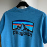 Футболка Patagonia Men's Line Logo Ridge Pocket Responsibili-Tee 38511 APBL