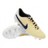 Бутси Nike LEGEND 10 CLUB FG/MG DV4344-700