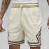 Шорти Jordan M DF SPRT DMND SHORT DX1487-113