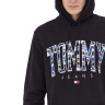 Шорти Tommy Jeans Regular Fit DM0DM17810-BDS