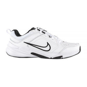 Кросівки Nike DEFYALLDAY DJ1196-102