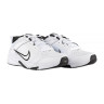 Кросівки Nike DEFYALLDAY DJ1196-102