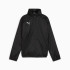 Вітровка Puma teamGOAL All Weather Junior 659045-03, Цвет Чёрный, Размер (Европа) - 176cm 659045-03