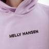 Худі HELLY HANSEN CORE GRAPHIC SWEAT HOODIE 53924-699