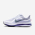 Кросівки Nike Pegasus Premium Road Running HQ2592-004