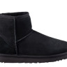Черевики UGG Classic Mini 2 1016222-BLK