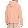 Кофта Nike Hoodie DA0037-808