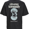Футболка Jack & Jones JORMILOS TEE SS CREW NECK SN 12256330-Black