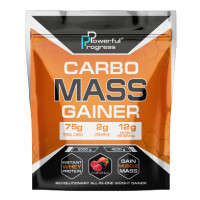 Порошок Carbo Mass Gainer - 4000g Forest Fruit 100-63-7671625-20