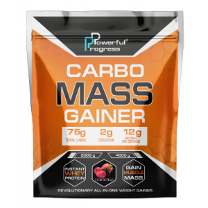 Порошок Carbo Mass Gainer - 4000g Forest Fruit 100-63-7671625-20