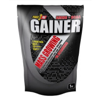 Порошок Gainer - 1000g Blueberry 2022-10-2528