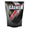 Порошок Gainer - 1000g Blueberry 2022-10-2528