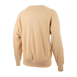 Світшот Nike AIR FT HOODIE DV9829-252