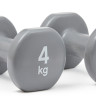 Гантелі Reebok Dumbbells сірий Уні 4 кг RAWT-16154