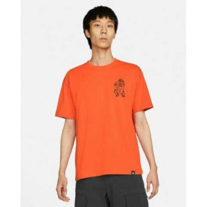 Футболка NIKE ACG DJ5807-817