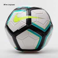 М'яч Nike NK STRK TEAM 350G SC3126-100-R
