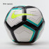 М'яч Nike NK STRK TEAM 350G SC3126-100-R