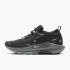 Кросівки Nike W PEGASUS TRAIL 5 GTX FQ0912-001