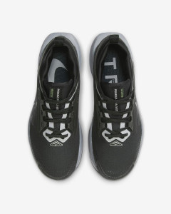 Кросівки Nike W PEGASUS TRAIL 5 GTX FQ0912-001