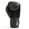 Рукавиці боксерські Everlast SPARK TRAINING GLOVES чорний Уні 16 унцій P00002408