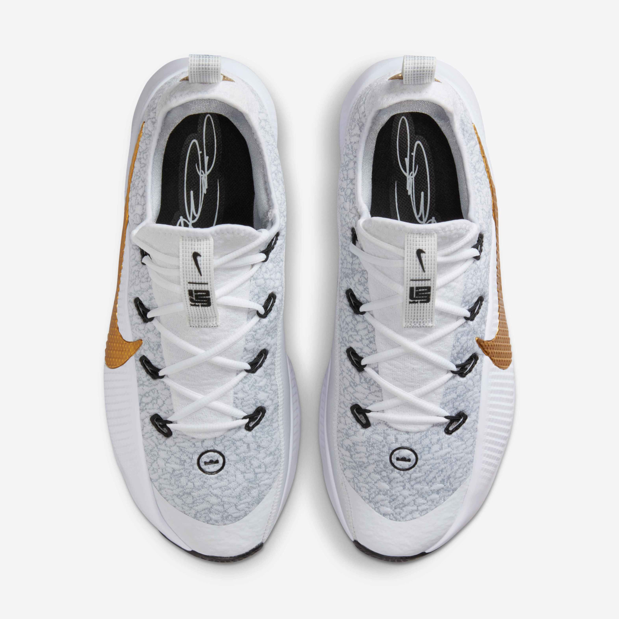 Кросівки Nike LEBRON TR 1 FJ6151-006
