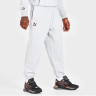 Штани PUMA Team Fleece Sweatpants 538901-04