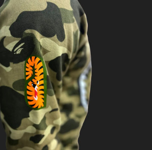 Худі BAPE WBATP24880