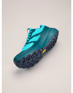 Кросівки ARC'TERYX Norvan LD 3 GTX Shoe Blue Tetra/Pytheas X000006998