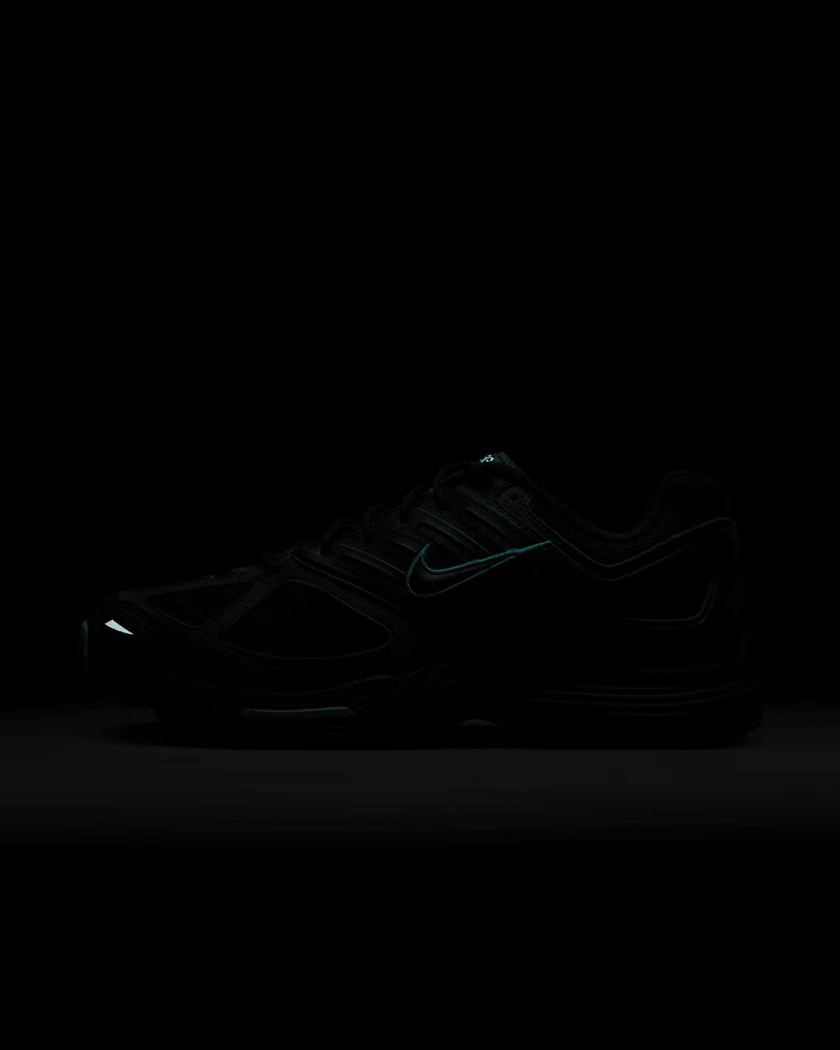 Кросівки Nike AIR PEGASUS 2005 FZ7354-300