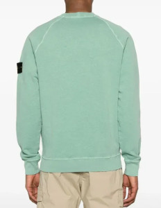 Світшот Stone Island Sweatshirt 'Light Green' 801566060 V0152