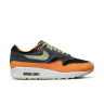 Кросівки Nike Air Max 1 PRM Duck Honey Dew DZ0482-001