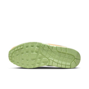 Кросівки Nike Air Max 1 PRM Duck Honey Dew DZ0482-001