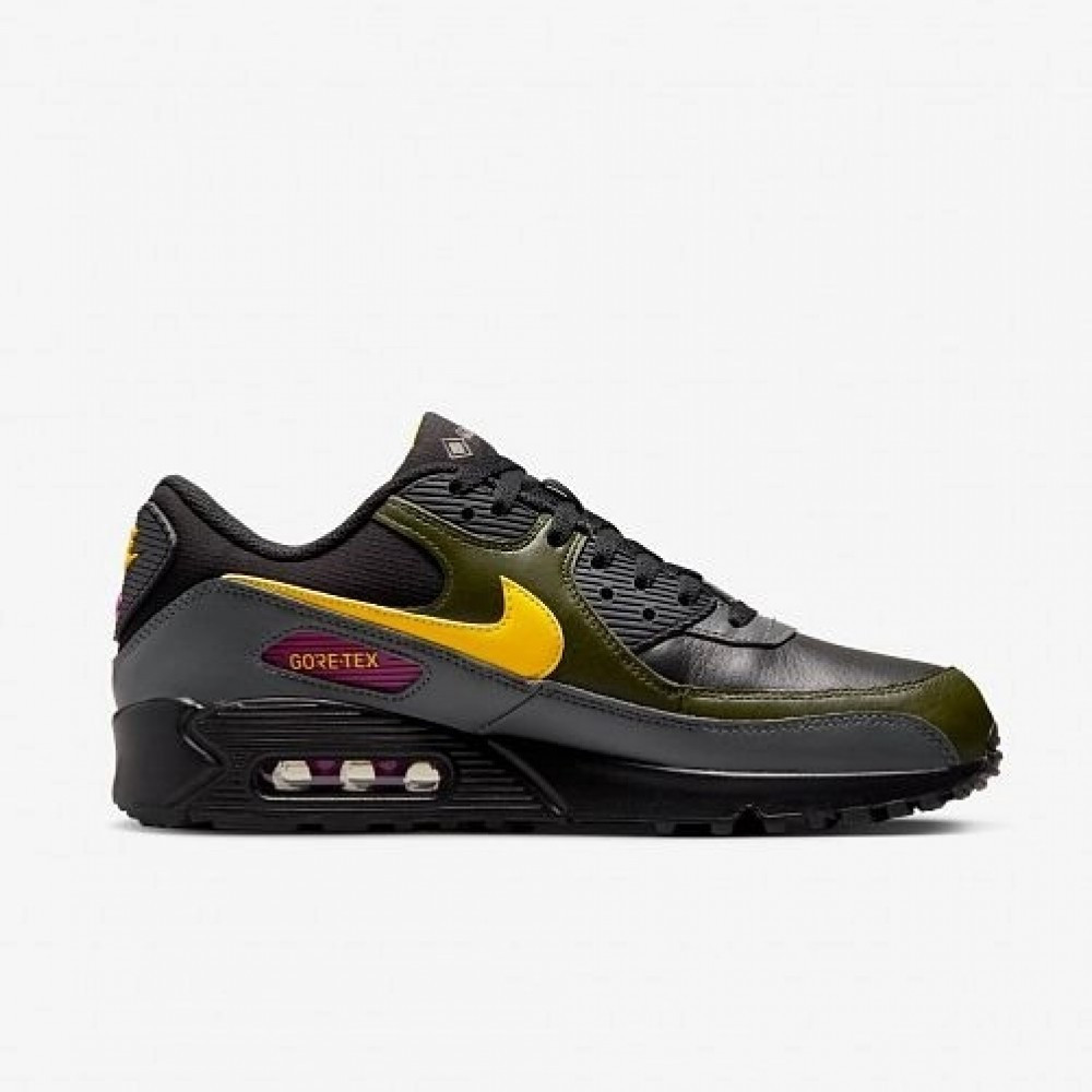 Кросівки Nike Air Max 90 GTX DJ9779-001