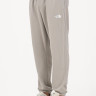 Штани M SIMPLE DOME LIGHT REGULAR TAPERED JOGG 0A8C412MB1 THE NORTH FACE L Сірий 0A8C412MB1