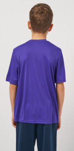 Футболка Joma COMBI 100052.550