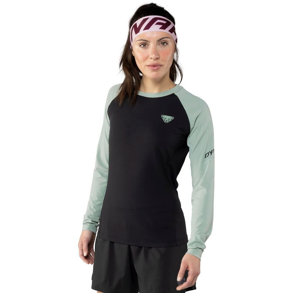 Футболка Dynafit Alpine Pro L/S Tee Wms 016.002.2716