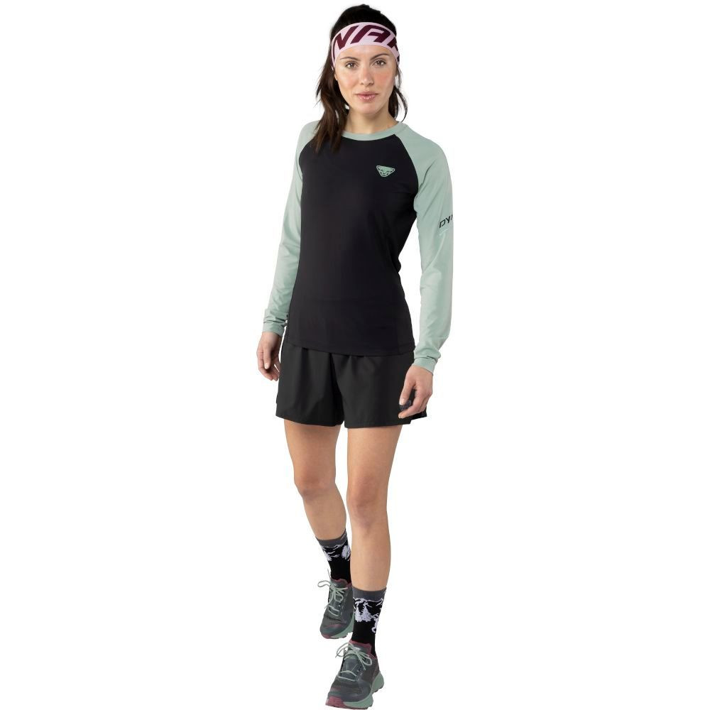Футболка Dynafit Alpine Pro L/S Tee Wms 016.002.2716