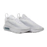 Кросівки Nike AIR MAX 2090 BV9977-100