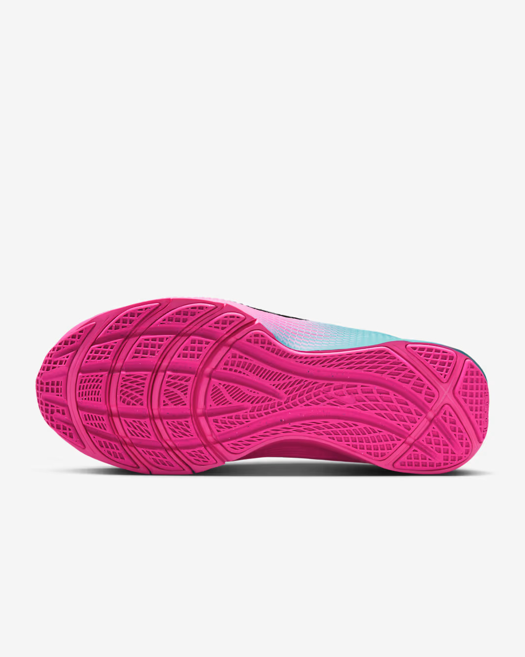 Кросівки Nike LEBRON TR 1 FJ6151-301